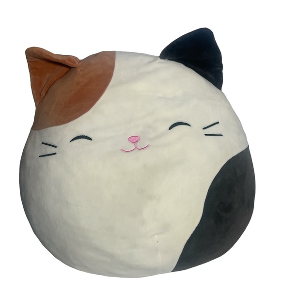 Squishmallows Other - Squishmallow Cameron Cam Rare